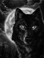 L'avatar di nightwolf